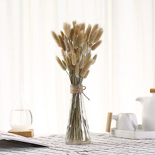 60PCS Rabbit Tail Grass Dried Flowers Dried Natural Floral Arrangement Bunch Decoration Dried Grass,Eternal Flower Dried Grass for Home,Wedding,Party,Flower Bouquet,Photo Props Decor (Natural Color)