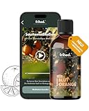 frihed.® Saunaaufguss Blutorange mit App Meditation - Hochkonzentriertes Orangen-Öl - vitalisierend - Langanhaltender Duft - Made in Lüneburg