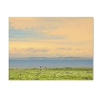 絵画 インテリア絵 額付 (黒) 油絵　 F4-080111　風景（草原青い空） Amazon.co.jp: 黒木啓 奥入瀬1 F6号 受注制作 油彩画 油絵 風景
