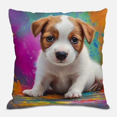 �N�b�V�����J�o�[�� 55 x 55 cm �k�� ������� ���l���� �������J�o�[ �\�t�@�w���� ���z�c�J�o�[ �����` �B���t�@�X�i�[ �ې�OK �C���e���A ��������(�J���t��) S#643