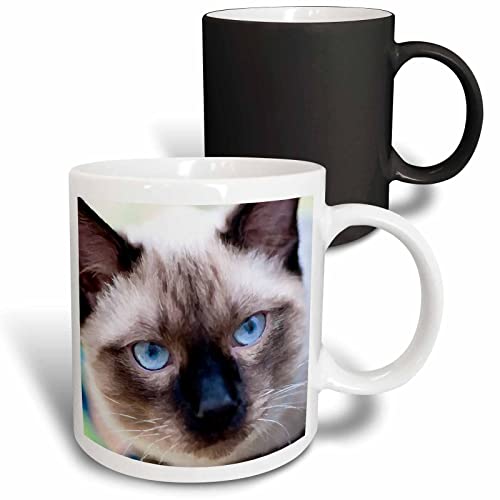 3dRose Siamese cat face. Digital painting 11oz Magic Transforming Mug