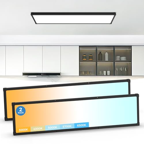 Aphyni 1x4 LED Flat Panel Light Surface Mount 2Pack,5CCT Selectable,Black