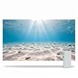 Ricomboo Aquarium Background & Double-Sided Sponge...