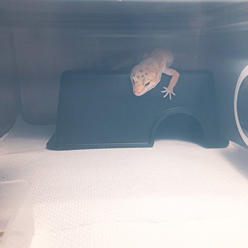 Reptile Hide Box, Small Animal Hideaway, Hides With Texture Help Peeling, For Snakes, Lizards, Leopard Gecko (S) #TOP4