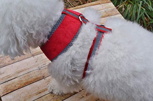 Personalized Dog Harness With Embroidered Pet Name, Soft Padded Dog Harnesses For Small & Medium Dogs No Pull-Adjustable Plush Puppy Walking Vest Made In Usa,(Small, Red) #TOP4