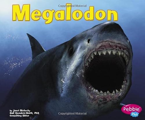 Megalodon (Dinosaurs And Prehistoric Animals) #TOP15