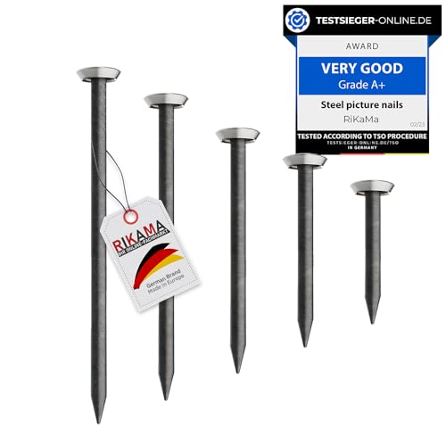 RIKAMA® – 50 chiodi per quadri in mix di 10 x 20 mm, 25 mm, 30 mm, 40 mm, 50 mm – chiodi in acciaio per l'uso su calcestruzzo, mattoni, intonaco e legno – Made in Europe (testa argentata)