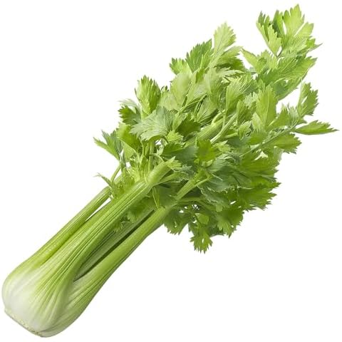 Welldales Giant Utah Celery Seeds for UK Gardens Cover