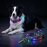 Leuchthalsband Hund und LED Hundeleine Set, Hundehalsband Leuchtend mit 1.2m Leuchtende Hundeleine USB Aufladbar, 3 Modi LED Hundeleine Set für Kleine Mittel Große Hunde, Nachtsicherheit