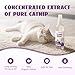 nonaginta Catnip Spray for Cats, 100% Natural Catnip Mist Spray for Cats & Kittens, Relieves Stress, Calming, Safe for Pets - 2 Fl Oz
