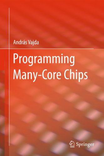 Programming Many-Core Chips (English Edition)