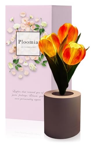 Ploomia(v[~A) LED  ֐ߏƖ e[uv iCgCg CeA ϗtA tFCNO[ lamp ̓ a v[g  킢  j ObY Q av lC rO ledu 