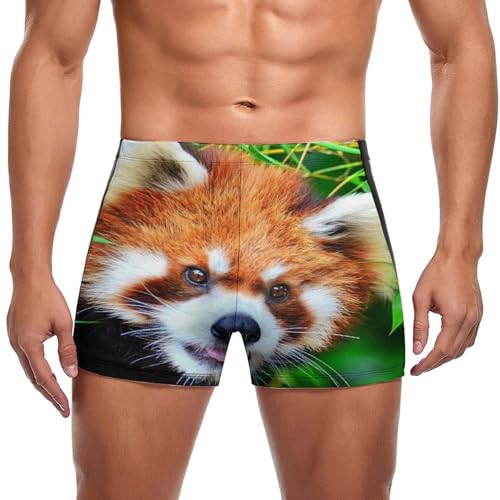 Short de bain homme panda roux pour vos vacances d'été