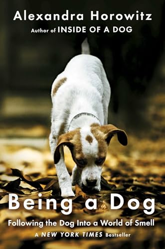 Being a Dog view 2