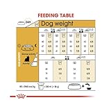 Royal Canin Yorkshire Terrier Adult Trockenfutter | 4er Pack | 4 x 500 g | Speziell für Erwachsene Yorkshire Terrier entwickelt | Unterstützung der körpereigenen Abwehrkräfte