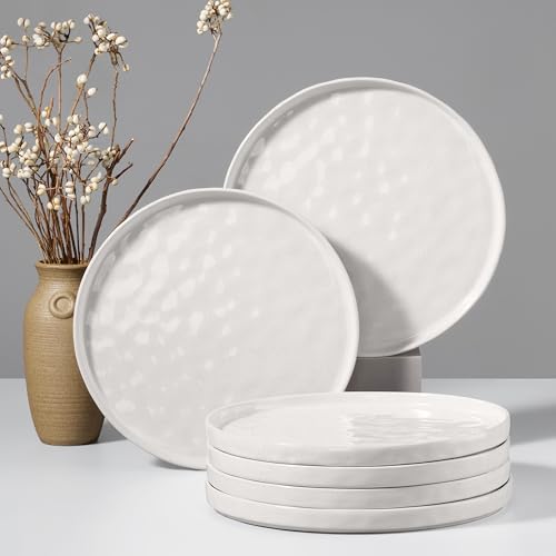 HaWare Stoneware Dinner Plates Set of 6, 10" Heavy Duty Ceramic Plate, Reactive Glaze Ripple Dinnerware for Home Restaurant, Chip and Scratch Resistant, Microwave and Dishwasher Safe, Speckled White
