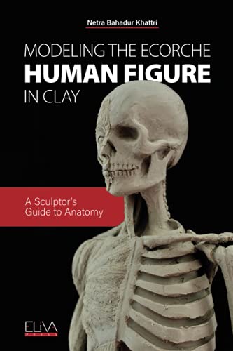 Modeling the Ecorche Human Figure in Clay: A Sculptor's Guide to Anatomy