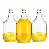 made in home Lot de 2 bouteilles en verre de fermentation - 5 l