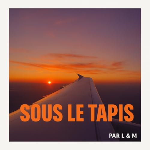 Couverture de Sous le tapis