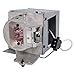 Optoma SP.70B01GC01 310W Replacement Lamp for EH490