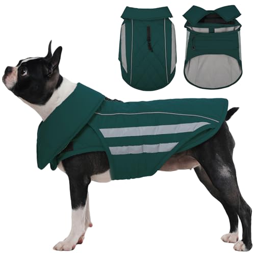 IECOii Dog Coat for Deep Chest Breeds- Reflective & Adjustable Jacket, Windproof Warm Vest for Light Rain, Snow, Waterproof Winter Coats for French Bulldogs, Boston Terrier, Green, Size M