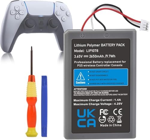 Batterie Di Ricarica Per Videocitofono Ring - 2 Pezzi Da 6040 MAh, Con Stazione Di Ricarica, Compatibili Con Doorbell 2/3/4 E Stick Up Cam - 10