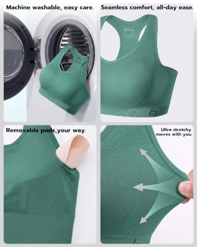 Image of FITTIN Supportive Sports Bra for Large-Bust: 12-Hour Zero-Pressure Comfort