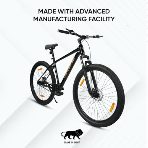 Image of ROADGIANT Squad BLACKGOLD-26 Z Black-Single Speed- Steel