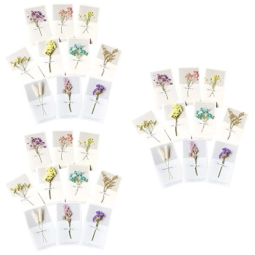 Cartes de vœux avec fleurs séchées pour éviter les messages banals d'anniversaire