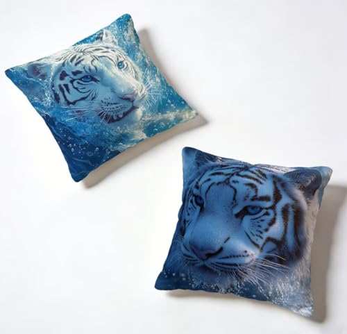 �N�b�V�����J�o�[ 55x55 cm 2���Z�b�g �� ���z�c�J�o�[ 55 x 55 ���O �h�� �\�t�@�[�N�b�V���� �� ���� �ϖ� ���� ���� ���J�o�[ HD���ʈ�� �B���t�@�X�i�[�t�� Cushion Covers, �t�ƉĂ̗����ɓK���Ă��܂� �Ⴄ�� 