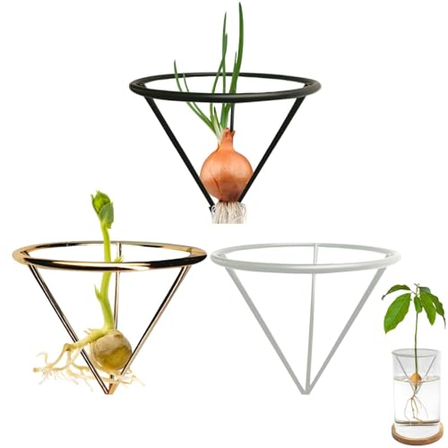 3x MetallAvocado-Anzucht-Halterung,Avocado-Anzuchthalter,Avocado-Wurzel-Starterhalter,Avocado-Pllan-Starterregal,MetallAvocado-AnzuchtDreieck-Halterung,Dreieckiger Halter AvocadoBaum-Anbauständer