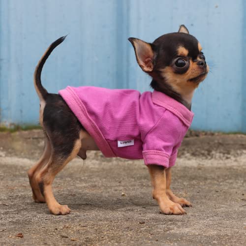 Lophipets 100% Cotton Dog Tee Shirt For Small Dogs Teacup Chihuahua Yorkie Puppy Clothes-Purple/Xs #TOP5