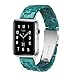 Light Apple Watch Band - Fashion Resin iWatch Band Bracelet Compatible with Copper Stainless Steel Buckle for Apple Watch Series 4 Series 3 Series 2 Series1 (Matte Green, 38mm/40mm)