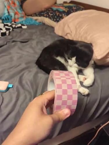 Lot De 3 Rouleaux De Ruban Adhésif Imprimé NE PAS DEPALETTISER