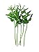 5 Stems Fake Morning Glory Artificial Vegetable for Display, Kitchen Decor