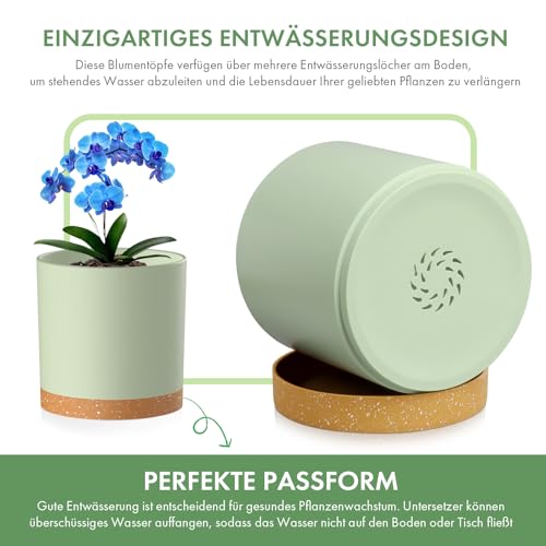 Homeuouz-5-Packs-Blumentopf-mit-Untersetzer-17815214127102cm-Pflanzentopf-Plastik-Ubertopf-Hydrokultur-Topf-Blumentopfe-Set-Ideal-fur-Innen-und-Balkongarten-Grun-mit-braunes-Tablett | Dealmeister.io Alt tag für bilder post titel