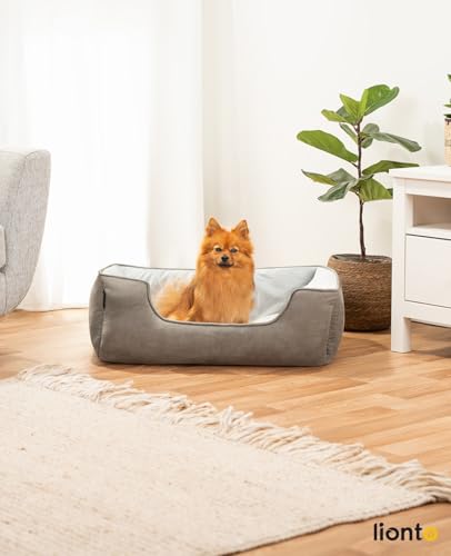 lionto Hundebett 2-in-1 mit komfortablem Einstieg, kuscheliges Heimtierbett zum Wenden für Hunde und Katzen, 80x60 cm, Hundekissen in pflegeleichter Wildlederoptik, grau