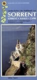  Landschaften der Halbinsel von Sorrent: Sorrent - Amalfi - Capri. Ein Auto- und Wanderführer: Sorrent, Amalfi, Capri. Autotouren, Wanderungen, Picknickvorschläge