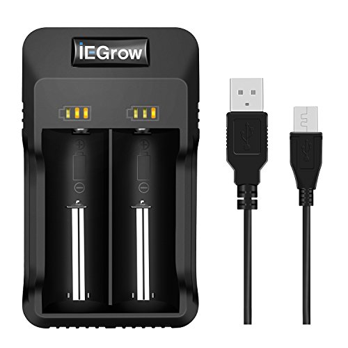 iEGrow ZH220E 2-Bay Smart Battery Charger with LED Indicator for 26650, 18650, 18500, 18350, 17670, 17500, 16340, 14500, 10440 3.7V Lithium Batteries and 1.2V Ni-MH & Ni-Cd: A/AA/AAA Batteries