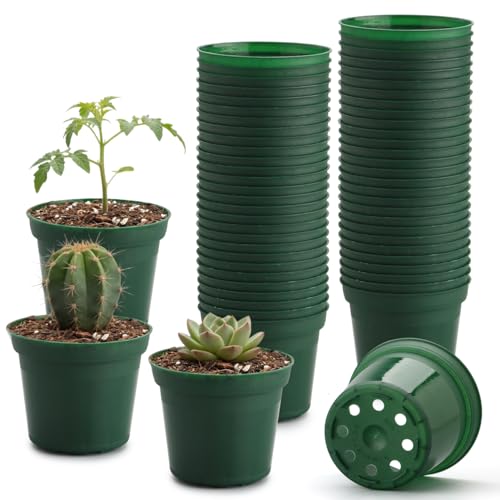 RooTrimmer 3 Inch Plastic Nursery Pot with Drainage Raised Base - Green Flexible Planters for Seedlings 50 Pack Durable & Lightweight for Indoor/Outdoor Gardening