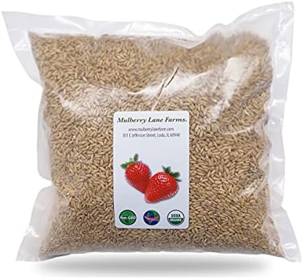 Whole Oats 5 Pounds Hulled, Groats, USDA Certified Organic Non-GMO Bulk, Mulberry Lane Farms
