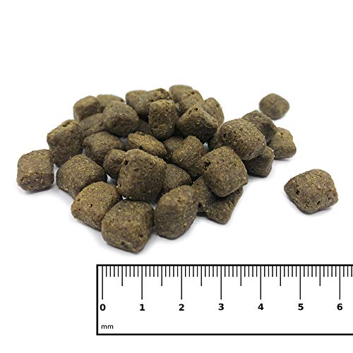 ICEPAW I Adult Pure I 14 kg I High Premium Trockenfutter I für Erwachsene Hunde I mit Fisch (Hering) und Reis I glutenfrei