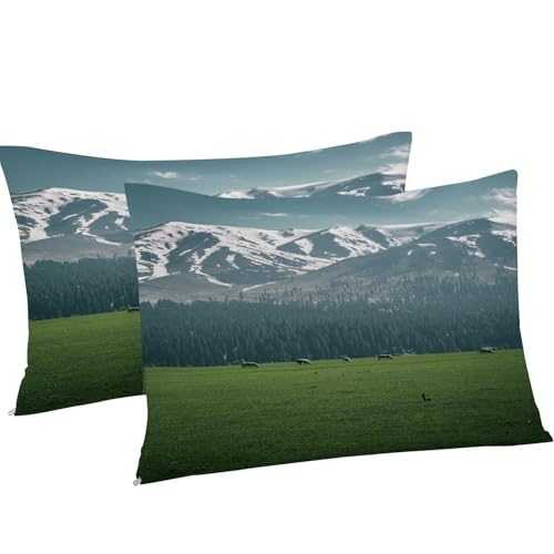 Housse de couette 220x240 prairie et parure de lit paysage montagne microfibre - 8