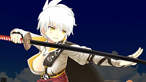 Amazon.com: 閃乱カグラ ESTIVAL VERSUS -少女達の選択- PlayStation