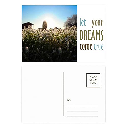 Cartes postales de remerciement soleil et forêt pour messages personnalisés