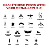 BUG-A-SALT 3.0 Clear Em Out - 9