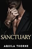 Sanctuary: An Irish mafia, fake marriage romance (CHANGING OF THE GUARDS Book 3)
