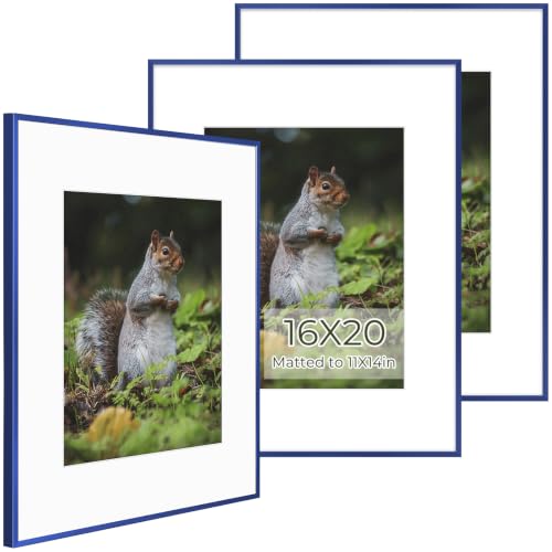 Golden State Art 3 Pack 16x20 Blue Aluminum Frames, Real Glass Fronts