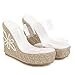 VOKLIN Women's Fashion Clear Espadrilles Wedges Sandals Open Toe Slip On Platform High Heels Dress Sandal