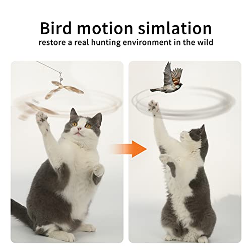 Fukumaru Cat Wand Toy, 35.5 Inch Cat Feather Propeller Toy With Bell, Steel Wire Cat Toy For Indoor Cats With Natural Feather, Solid Wood Handle An Extra Cat Toy Feather Replacement #TOP3
